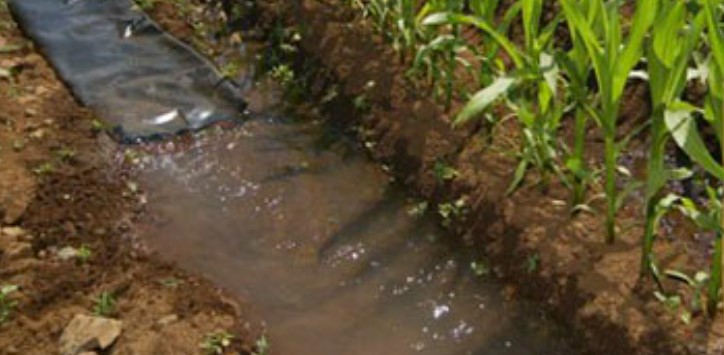 Agua-Riego-1