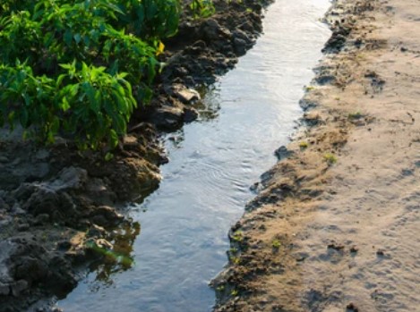 Agua-Riego-2-1