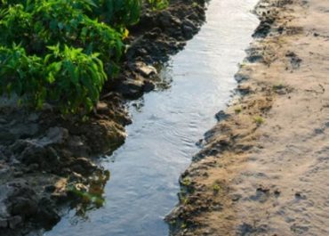 Agua-Riego-2