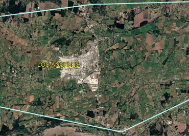 Arriendo-Campo-40-ha