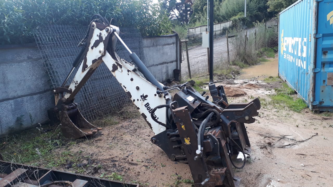 Bobcat-aguilon1