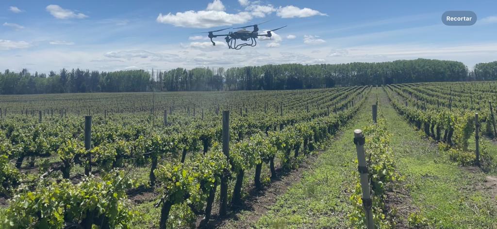 Dron-5