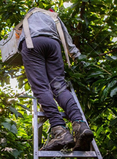 Escaleras-3