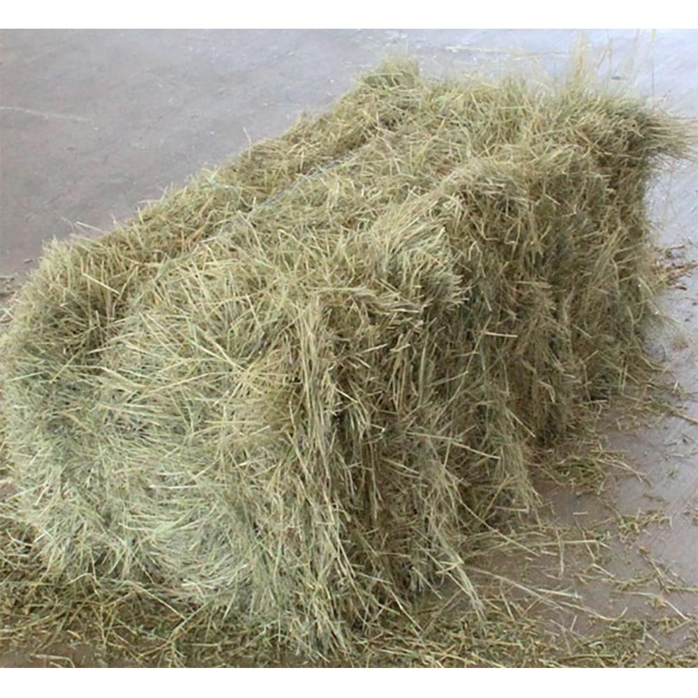 Fardo-Pasto