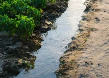 Agua-Riego-2